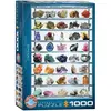 Image de Eurographics minéraux Puzzle (1000 pièces)