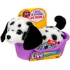 Image de Little Live Pets Puppy Minis Pepper Le Dalmatien, Chiot 11 cm