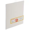 Image de MOAB Moenkopi Washi Unryu 55 - 55 g - A3+ - 10 feuilles (MKU55A310)