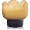 Image de Paddywax Tulip Garden & Grove bougie parfumée 155 g