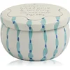 Image de Paddywax Tulip Wisteria & Willow bougie parfumée à couvercle 56 g
