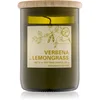 Image de Paddywax Eco Green Verbena & Lemongrass bougie parfumée 226 g