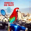 Image de Oiseau de Nuit