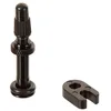 Image de Sram Tubeless Universal Valve 101 XPLR