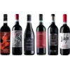 Image de Valpolicella Ripasso Caisse de dégustation Premium 4.5 l