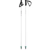 Image de HEAD Bâtons de Ski Worldcup Rebels en Carbone Skistöcke Unisexe-Adulte, Blanc, 110