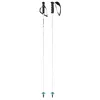 Image de Head Worldcup Rebels Carbon White Bâton de Ski