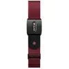 Image de Polar Verity Sense Bracelet de rechange M-XXL rouge foncé