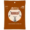 Image de MARTIN Retro 8 Cordes pour Mandoline, 80/20 Monel Wound, Medium, 11-40 (M465)