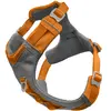 Image de Kurgo Journey Air Harnais pour Chien, pour randonnée, Course et Promenade, avec Rembourrage, poignée de contrôle, Attache Avant Anti-Traction, éléments réfléchissants (Orange, Taille M)