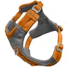 Image de Kurgo Journey Air Harnais pour Chien, pour randonnée, Course et Promenade, avec Rembourrage, poignée de contrôle, Attache Avant Anti-Traction, éléments réfléchissants (Orange, Taille XL)
