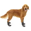 Image de PetSafe Kurgo Bottines Blaze Cross - protège-pattes toutes saisons - résistantes à l'eau, réfléchissantes, antidérapantes - 2 chaussures incluses - Gris - M