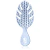 Image de Wet Brush Go Green Mini brosse à cheveux Lavender