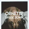 Image de Upside Down
