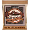 Image de Ernie Ball Earthwood Cordes Custom Light Phosphore Bronze pour guitare acoustique à 12 cordes, calibre 10-48