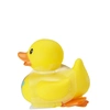 Image de Canard à remonter