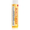 Image de Burt’s Bees Lip Care baume à lèvres hydratant (with Coconut & Pear) 4.25 g