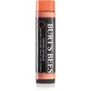 Image de Burt’s Bees Tinted Lip Balm baume à lèvres teinte Zinnia 4.25 g