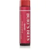 Image de Burt's Bees Tinted Lip Balm baume à lèvres teinte Daisy 4.25 g