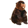 Image de Wild Republic Cuddlekins Castor, Animal en Peluche, 30 cm, Cadeau pour Bébés, Peluche Écologique, Rembourrage Fabriqué à Partir de Bouteilles d’Eau Recyclées