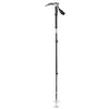 Image de Black Diamond Expedition 3 Whippet Bâton de Ski Adulte Unisexe, Desert Sage, 110-140 cm