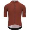Image de Q36.5 Dottore PRO Jersey Homme Rouge