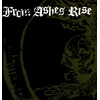 Image de 7-Rejoice The End [Import]