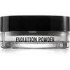 Image de Danessa Myricks Beauty Evolution Powder poudre libre teinte 1 - Universal 11 g
