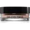 Image de Danessa Myricks Beauty Evolution Powder poudre libre teinte 2 - Translucent Beige 11 g