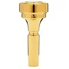 Image de DENIS WICK Embouchure Bugle plaquée or 5BFL (ADW 48845BFL)