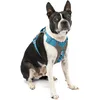 Image de Kurgo Journey (TM) Chiens Course à Pied Harnais, Chien Marche Harnais, Chien randonnée Harnais, Harnais pour Chien, Small, Grey/Blue (2018)