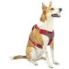 Image de Kurgo K01940 Harnais pour Chien Petits/Moyens/Grands Réfléchissant pour Le Footing la Marche/la Randonnée Journey Air Style