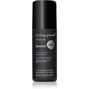 Image de Living Proof Style Lab spray de définition pour un séchage rapide 148 ml