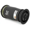 Image de Arnott Europe Ressort pneumatique, châssis pour BMW: X6, X5 (Ref: A-2642)