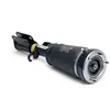 Image de Arnott Europe Amortisseur pneumatique pour BMW: X5 (Ref: AS-2765)