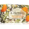 Image de Nesti Dante Il Frutteto Olive and Tangerine savon naturel 250 g