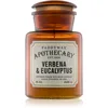Image de Paddywax Apothecary Verbena & Eucalyptus bougie parfumée 226 g