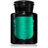 Image de Paddywax Apothecary Noir Tabac & Pine bougie parfumée 226 g