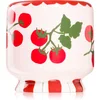 Image de Paddywax A Dopo Tomato Vine bougie parfumée 226 g
