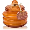 Image de Paddywax Pumpkin Spice bougie parfumée 58 g