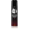 Image de The Shave Factory Temporary Hair Color Spray spray cheveux teinte Pink 150 ml
