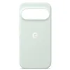 Image de Coque Pixelsnap pour Google Pixel 11 Pro   Brume