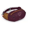 Image de Osprey Seral 4L Sac Banane de vélo Unisexe avec réservoir hydraulique, Violet abrium