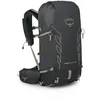 Image de Osprey Tempest Velocity 30L Women's Hiking Backpack, Dark Charcoal/Chiru Tan, WXS/S
