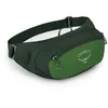 Image de Osprey Daylite Sac Banane Unisexe, 2L, Green Belt/Green Canopy
