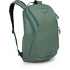 Image de Osprey Astronova Pine Leaf Green OS