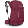 Image de Osprey Hikelite Unisexe Sac à dos, 28L, Chameleon/Black, S/M