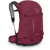 Image de Osprey Hikelite Unisexe Sac à dos, 28L, Chameleon/Black, M/L