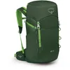 Image de Osprey Jet 28 Green Canopy OS