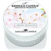 Image de Kringle Candle Warm Cotton bougie chauffe-plat 42 g